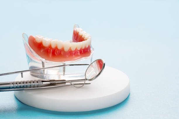 Best Preventive Dentistry  in Rising Sun Lebanon, DE